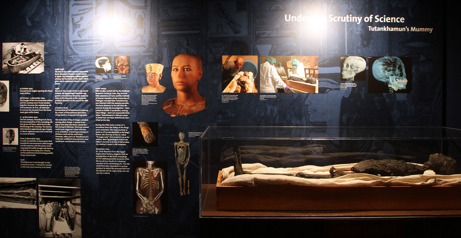 The Discovery of King Tut